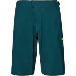OAKLEY REDUCT BERM SHORT HUNTER GREEN 22