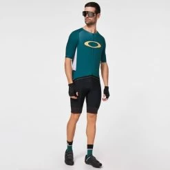 OAKLEY ICON JERSEY 2.0 BAYBERRY 21 11 OAKLEY ICON JERSEY 2.0 BAYBERRY 21 -L'art de l'équipement du cyclisme. 9 86007 foa400596 70u 06
